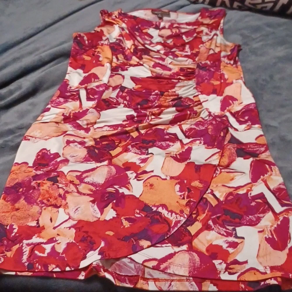 Dana Buchman Large Dress ๐ - Picture 1 of 6